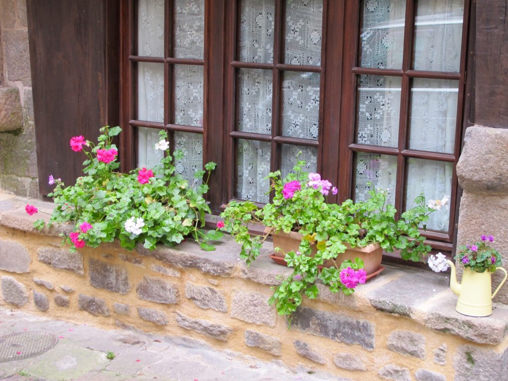 Window boxes with geraniums